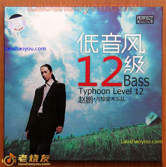 赵鹏 低音风12级