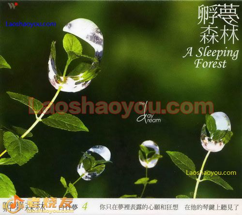 白日梦4 孵梦森林 A Sleeping Forest