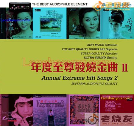 年度至尊发烧金曲Ⅱ