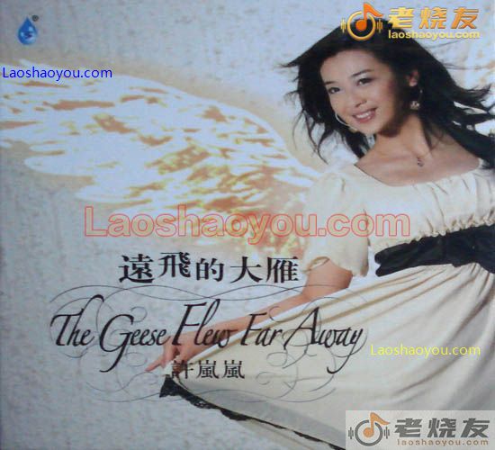 许岚岚 远飞的大雁