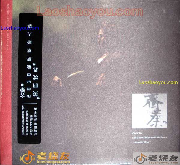 齐秦 美丽境界