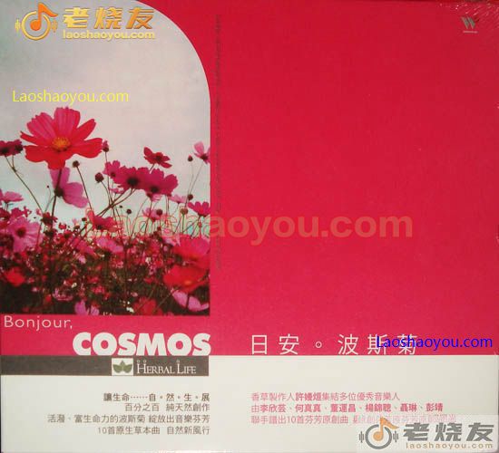 日安波斯菊 Cosmos