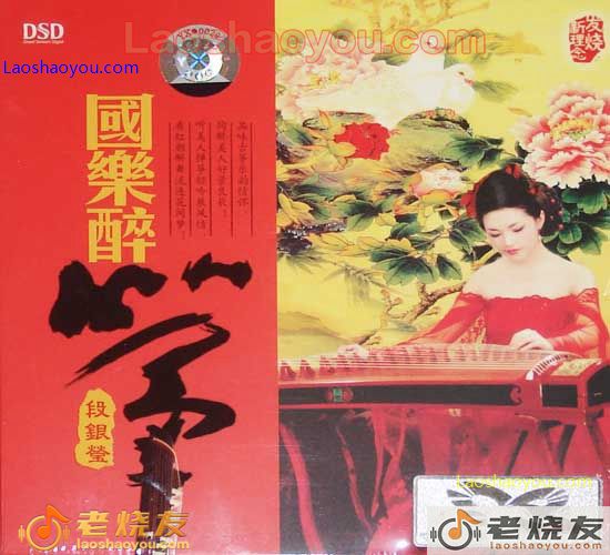 段银莹 国乐醉筝