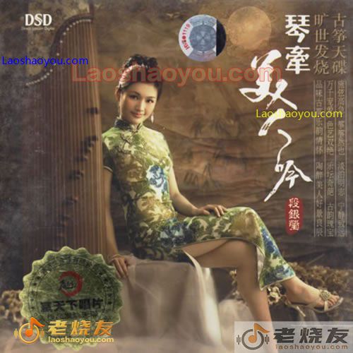 段银莹 琴牵美人吟