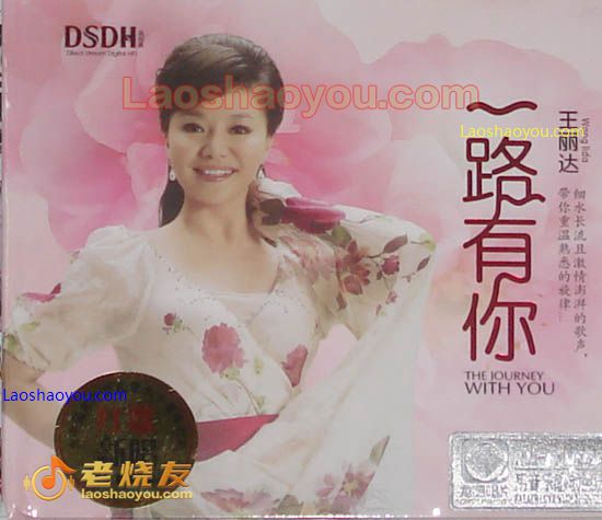 王丽达 一路有你