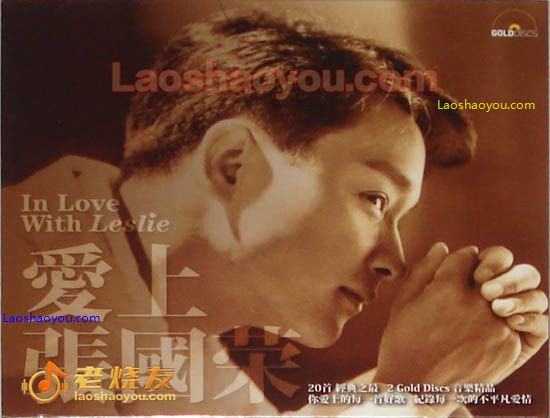 爱上张国荣 In Love with Leslie