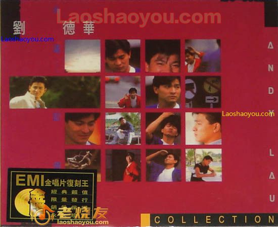 刘德华 永远记得你