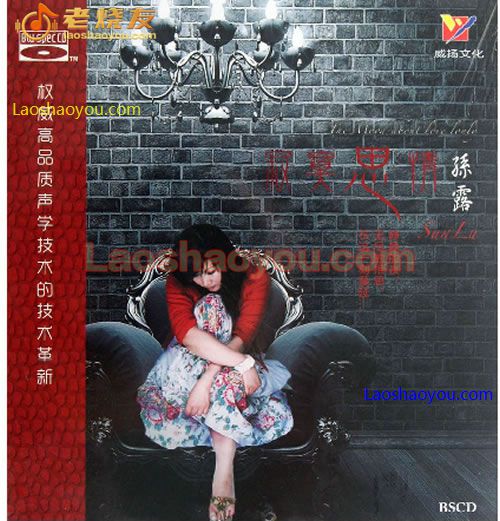 孙露 寂寞思情 蓝光CD