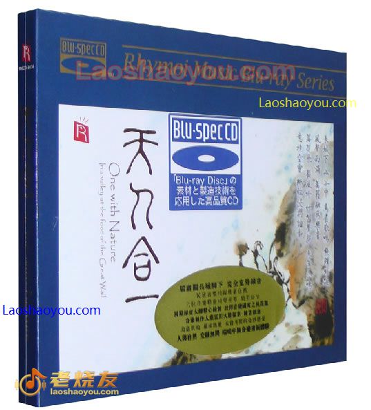 琵琶，古琴，古筝-天人合一