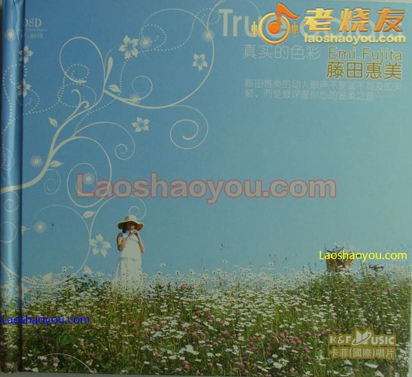 藤田惠美 真实的色彩