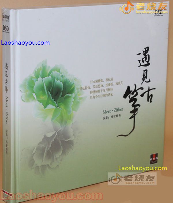 冯安婧男演奏 遇见古筝