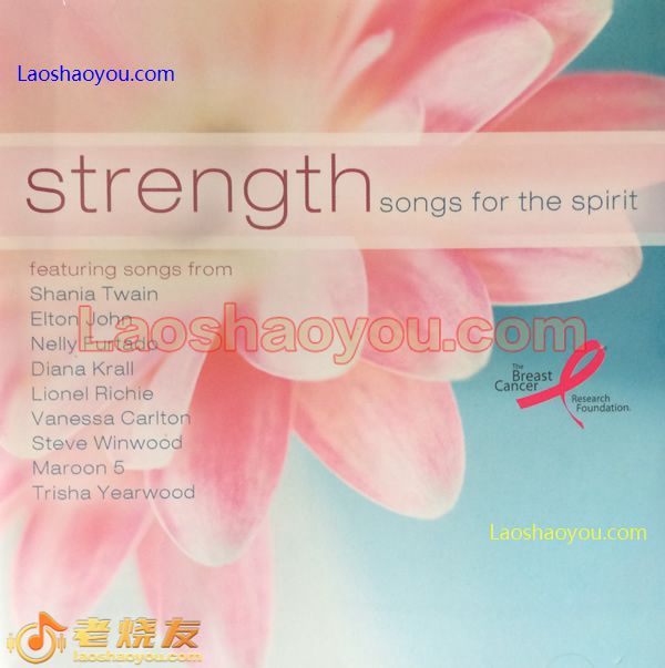 Strength Songs For The Spirit