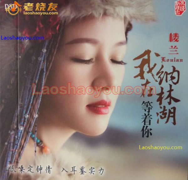 我在纳林湖等着你