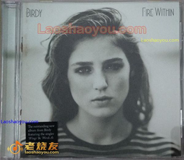厚重的提琴、凝滞的钢琴轻快的吉他 Birdy Fire Within 唯美女声