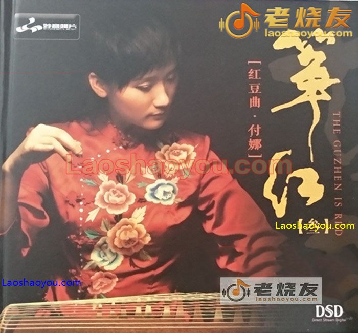 付娜.红豆曲《筝红3》