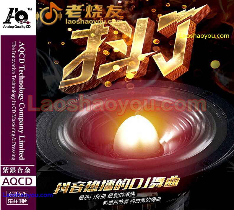 抖音热播的DJ舞曲