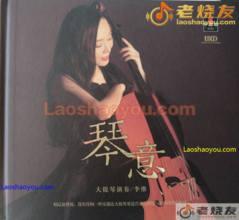 李维大提琴演奏《琴意》