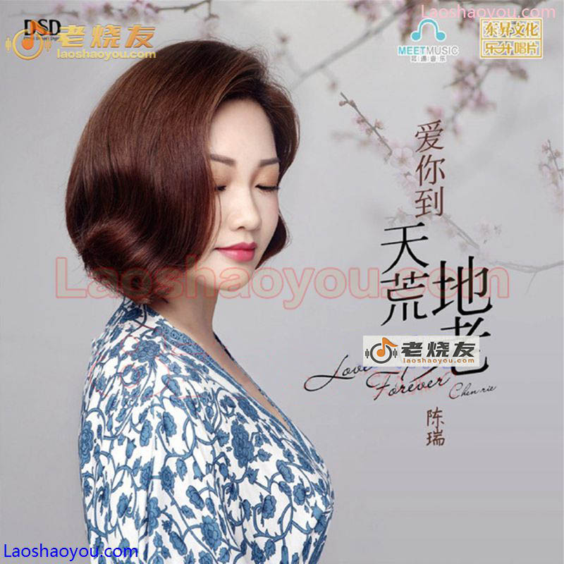 陈瑞《爱你到天荒地老》