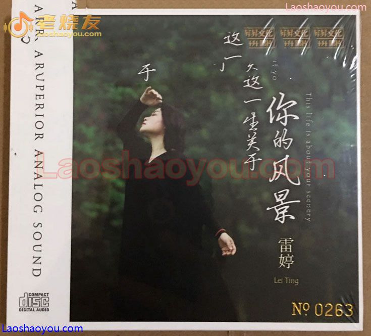 雷婷《这一生关于你的风景》