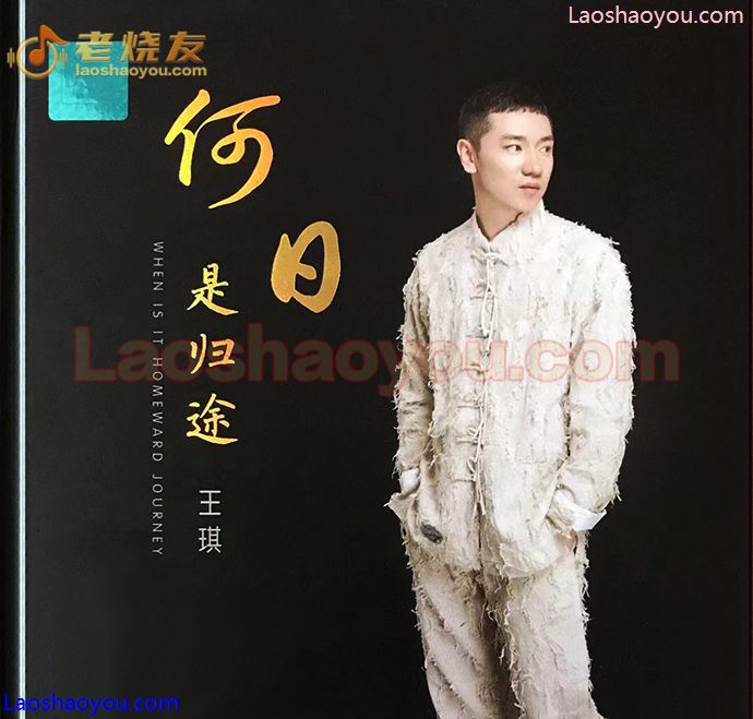 王琪《何日是归途》