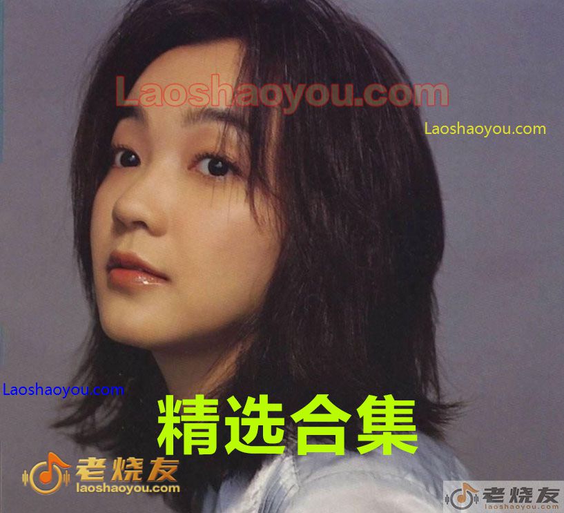 陈慧娴《歌曲精选合集》