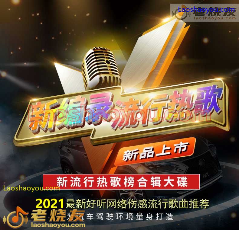 群星《2021最新好听网络伤感歌曲210首》