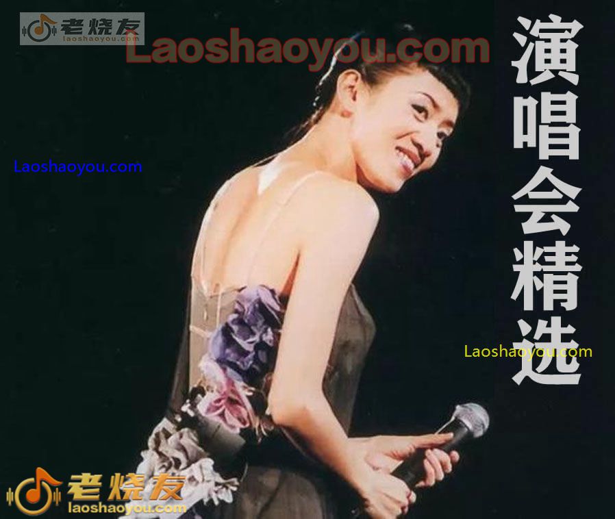梅艳芳《87-91演唱会精选》