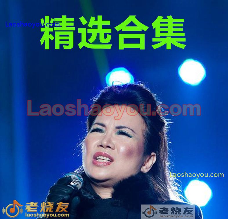 苏芮《精选合集》