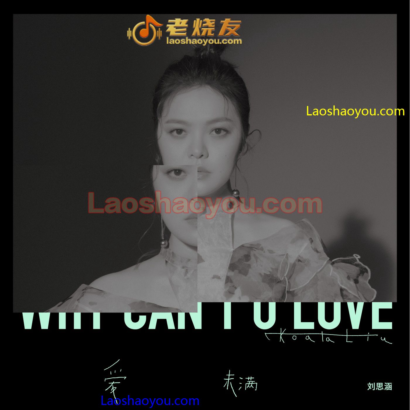 刘思涵《爱,未满》