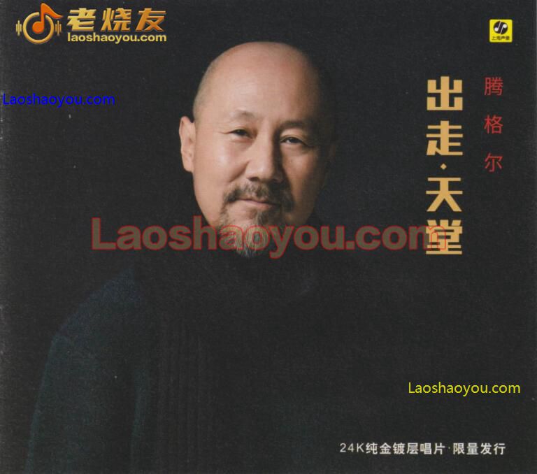 腾格尔《出走-天堂》