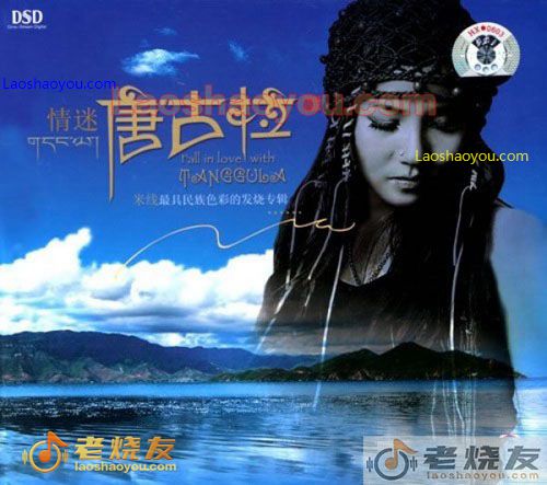 情迷唐古拉   米线