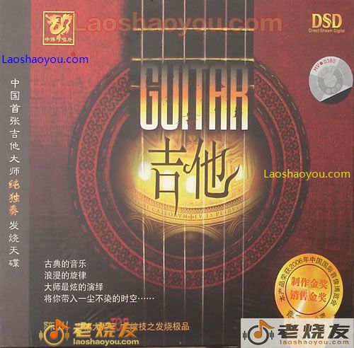 吉他大师纯独奏 吉他 陈川