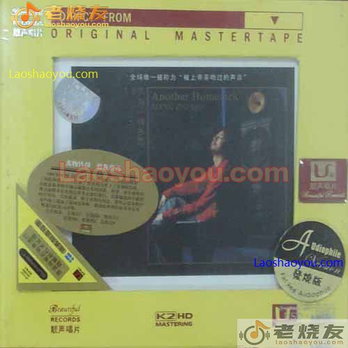 江智民 另一种乡愁