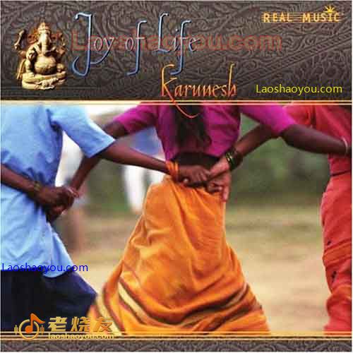 生命的欢愉 Karunesh Joy Of Life