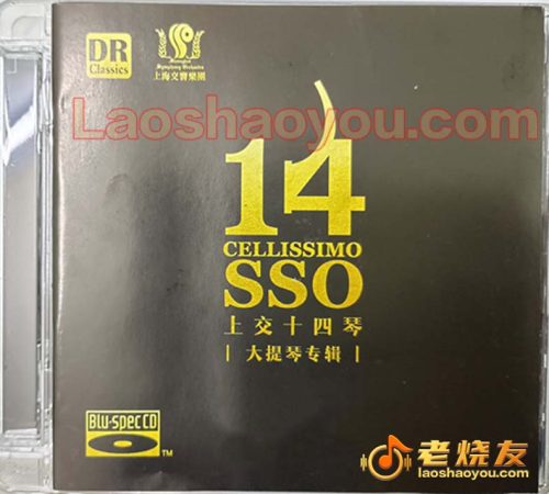 上交十四琴 蓝光