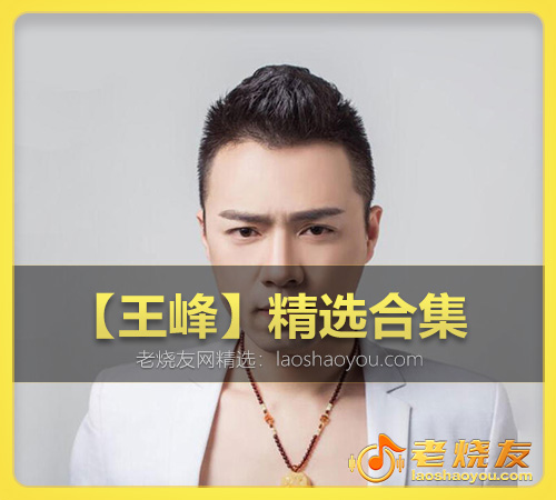 【王峰】精选合集 WAV