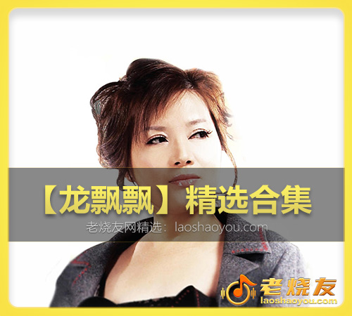 【龙飘飘】精选合集 WAV