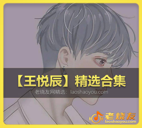 【王悦辰】精选合集 WAV
