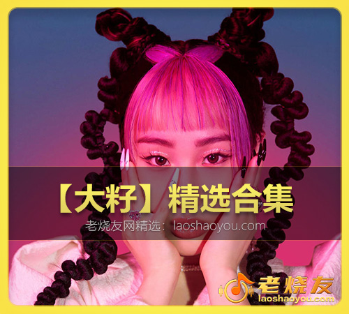 【大籽】精选合集 WAV