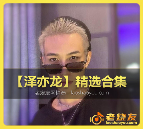 【泽亦龙】精选合集 WAV