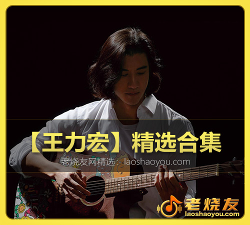 【王力宏】精选合集 WAV