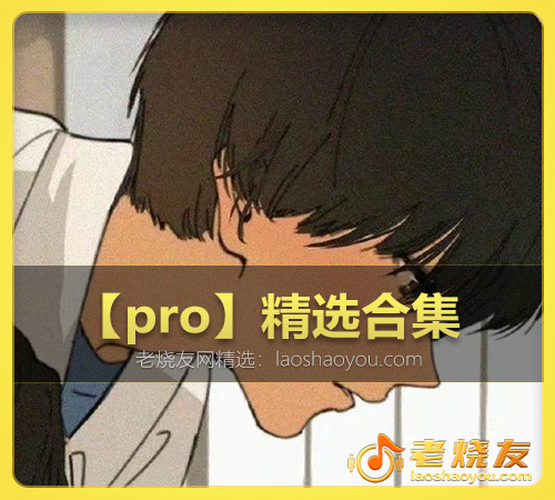 【pro】精选合集 WAV
