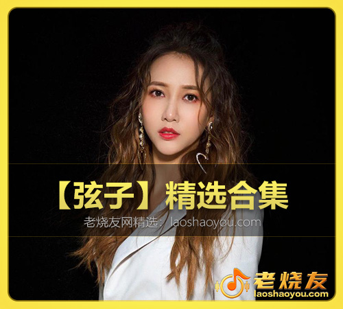 【弦子】精选合集 WAV