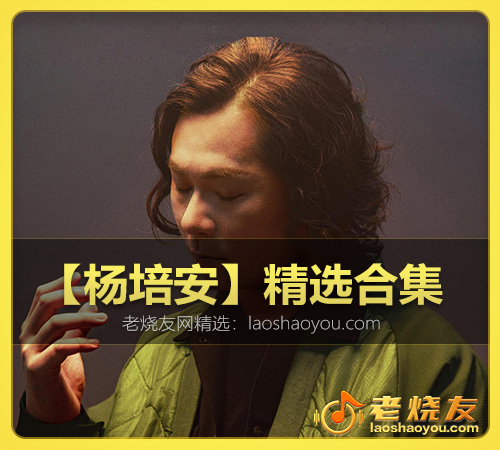【杨培安】精选合集 WAV