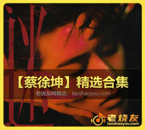 【蔡徐坤】精选合集 WAV