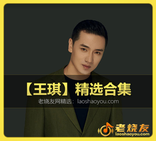 【王琪】精选合集 WAV