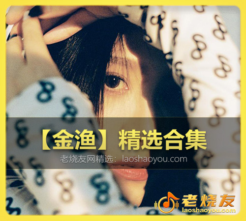 【金渔】精选合集 WAV