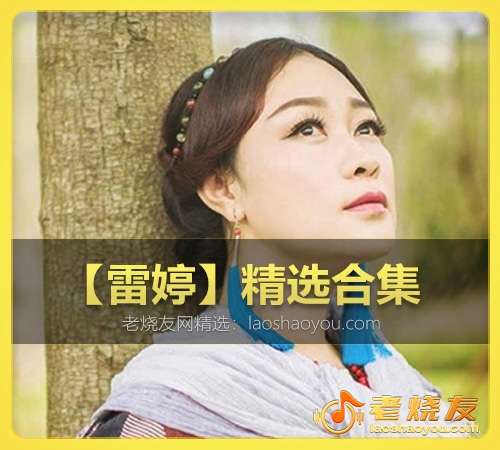 【雷婷】精选合集 WAV