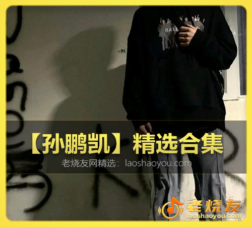 【孙鹏凯】精选合集 WAV