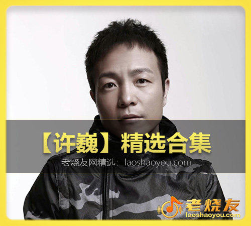 【许巍】精选合集 WAV